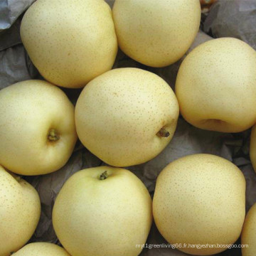 Nouvelle saison fraîche Golden Pear / Poire de la Couronne